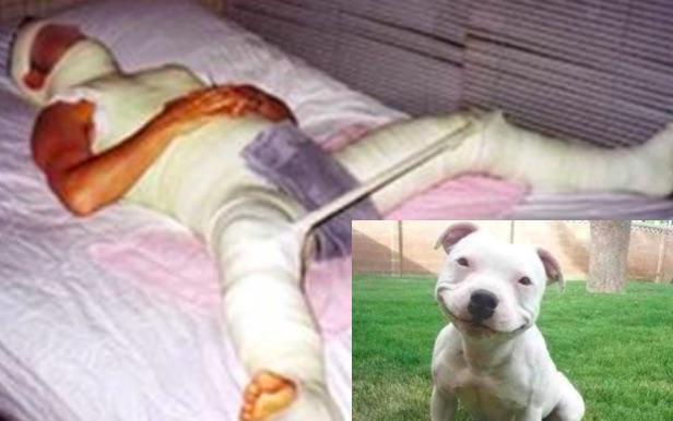 dog rape stories dog rape stories